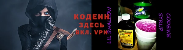 индика Богородск