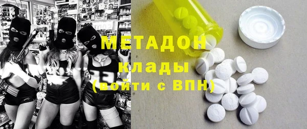 индика Богородск