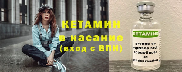 индика Богородск